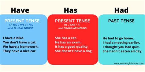 difference of has and had|Has vs. Have vs. Had .